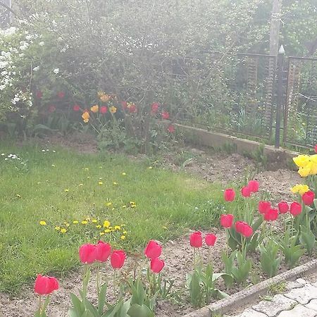 Alom Kucko Apartman Zalaegerszeg Exterior foto