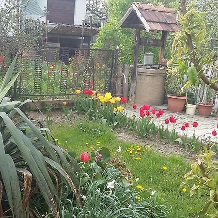 Alom Kucko Apartman Zalaegerszeg Exterior foto