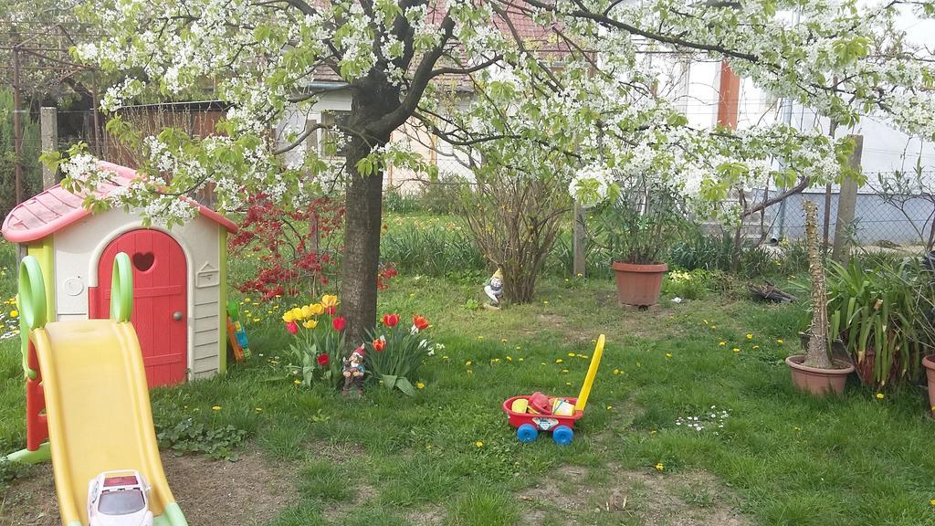 Alom Kucko Apartman Zalaegerszeg Exterior foto