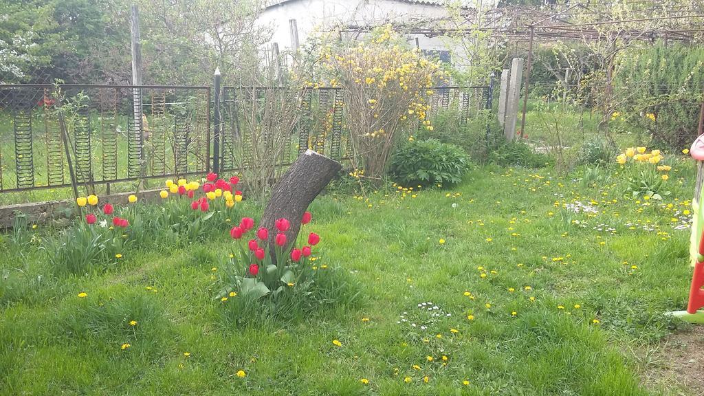 Alom Kucko Apartman Zalaegerszeg Exterior foto