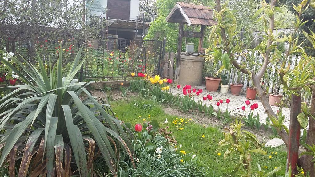 Alom Kucko Apartman Zalaegerszeg Exterior foto